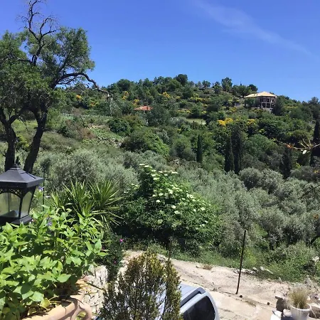 Holiday home Almond Trees Platistoma